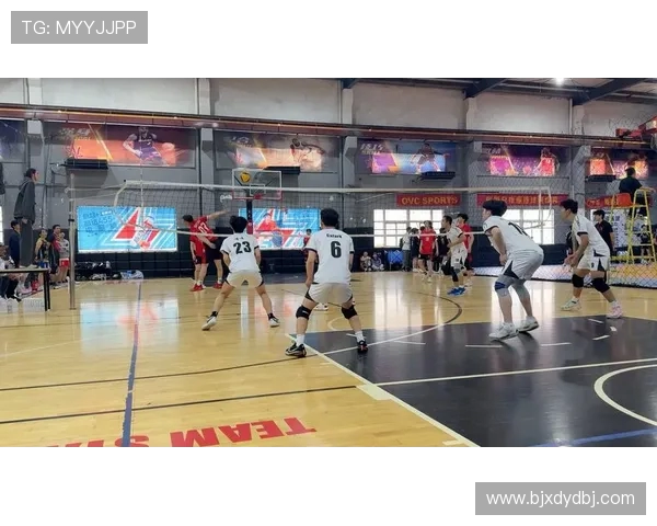 杭州排球队比赛经验的创新与变革引发热议